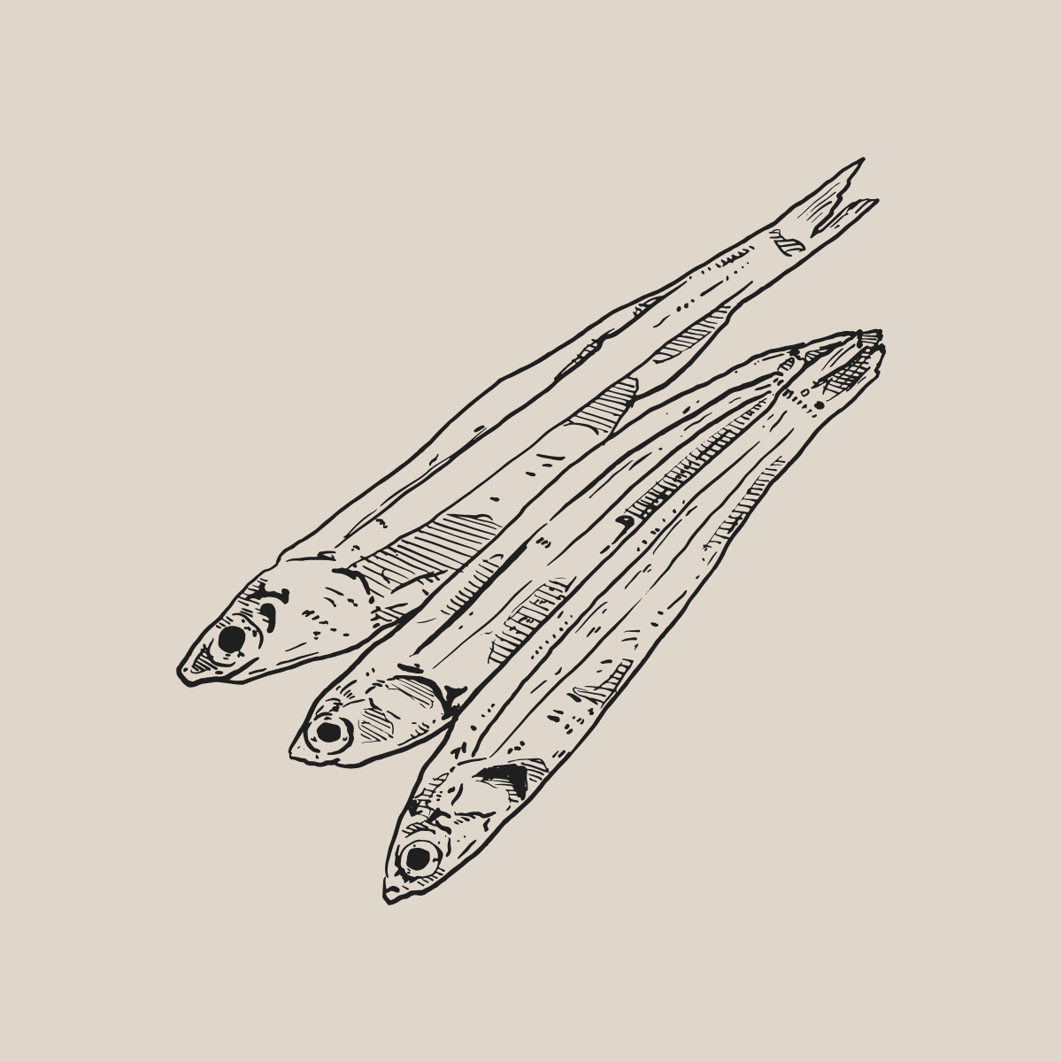 Premium Tinned Sardines from Europe