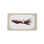 Kryddad bläckfisk i Ragoutsås