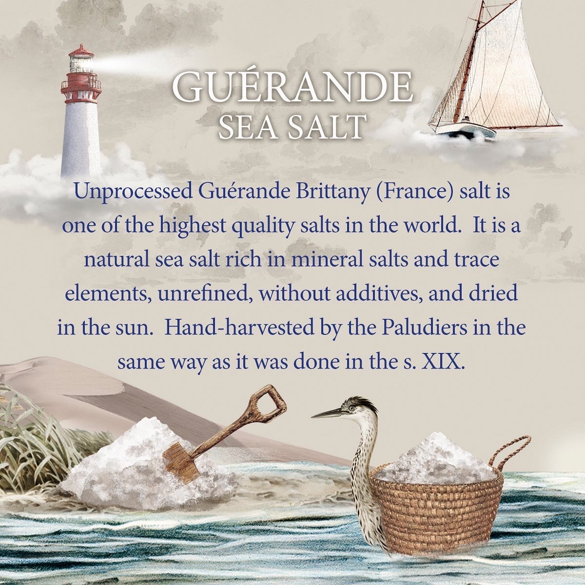 Handgjorda veganska kex med havssalt från Guérande (Frankrike) och olivolja