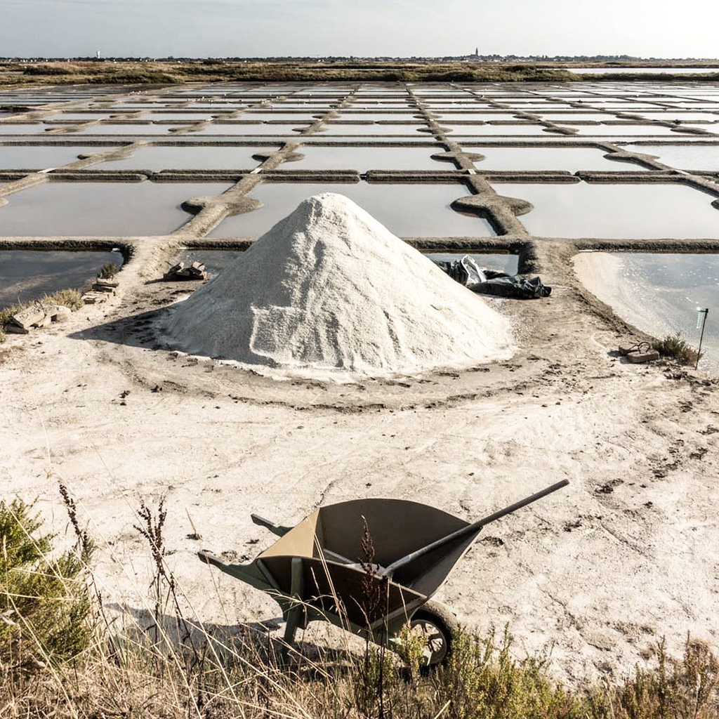 Handgjorda veganska kex med havssalt från Guérande (Frankrike) och olivolja