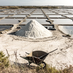 Handgjorda veganska kex med havssalt från Guérande (Frankrike) och olivolja