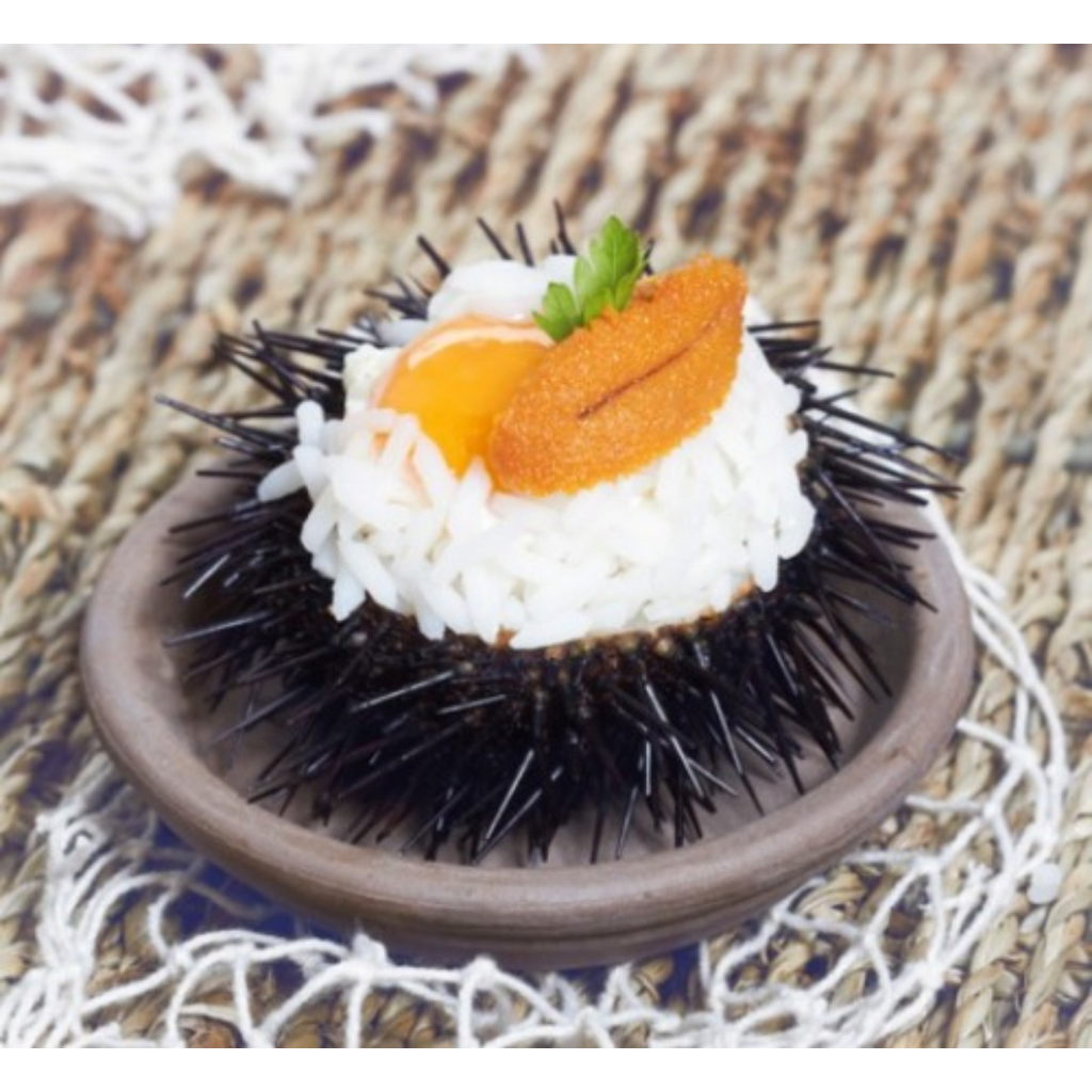 Sea Urchin Caviar